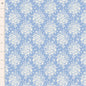 Something Blue Picknic - Sky