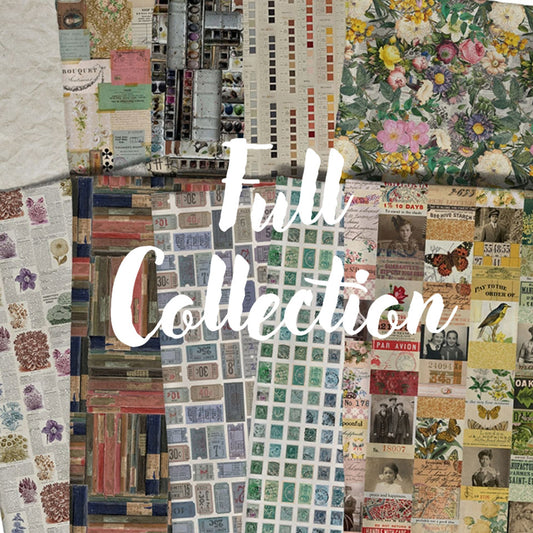 ***OCTOBER 2025 DELIVERY*** Palette Multi Collection