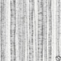 Hoffman Berries and Birch Trees - Fog/Silver